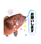 中西商店の仲間達（個別スタンプ：21）