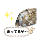 中西商店の仲間達（個別スタンプ：22）
