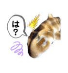 中西商店の仲間達（個別スタンプ：28）