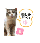 中西商店の仲間達（個別スタンプ：39）