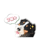 ランディ×ルディ（個別スタンプ：3）