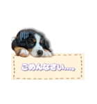 ランディ×ルディ（個別スタンプ：6）