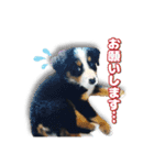 ランディ×ルディ（個別スタンプ：9）