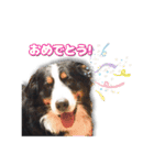 ランディ×ルディ（個別スタンプ：16）