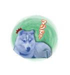 茨城犬ショコバニラ（個別スタンプ：15）