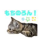 ひまにゃん6（個別スタンプ：3）