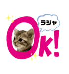 ひまにゃん6（個別スタンプ：18）