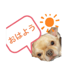 どーも。maruです。（個別スタンプ：3）