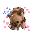 どーも。maruです。（個別スタンプ：4）