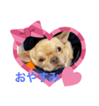 どーも。maruです。（個別スタンプ：7）