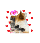 あんことぼちゃみ。あんぼちゃと申します。（個別スタンプ：1）