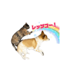 あんことぼちゃみ。あんぼちゃと申します。（個別スタンプ：2）