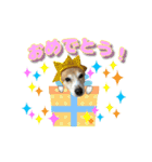 あんことぼちゃみ。あんぼちゃと申します。（個別スタンプ：9）