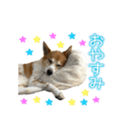 あんことぼちゃみ。あんぼちゃと申します。（個別スタンプ：10）