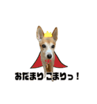 あんことぼちゃみ。あんぼちゃと申します。（個別スタンプ：14）