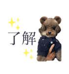 堀 犬太郎（個別スタンプ：1）