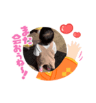 可愛いくれあ様（個別スタンプ：8）