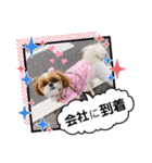 モフモフのお友達♥（個別スタンプ：1）