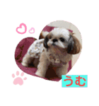 モフモフのお友達♥（個別スタンプ：3）