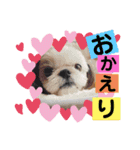 モフモフのお友達♥（個別スタンプ：5）