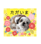 モフモフのお友達♥（個別スタンプ：6）