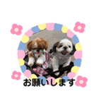 モフモフのお友達♥（個別スタンプ：9）