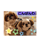 モフモフのお友達♥（個別スタンプ：10）