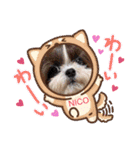 モフモフのお友達♥（個別スタンプ：11）
