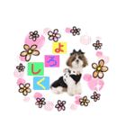 モフモフのお友達♥（個別スタンプ：20）