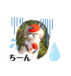 モフモフのお友達♥（個別スタンプ：22）