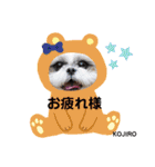 モフモフのお友達♥（個別スタンプ：24）