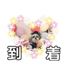 モフモフのお友達♥（個別スタンプ：30）