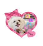 モフモフのお友達♥（個別スタンプ：31）