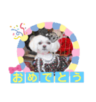 モフモフのお友達♥（個別スタンプ：33）