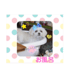 モフモフのお友達♥（個別スタンプ：34）