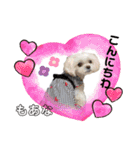 モフモフのお友達♥（個別スタンプ：39）