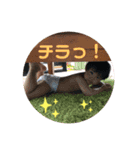 エイトマン3（個別スタンプ：1）