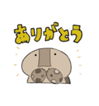 りくがめちゃんのすたんぷ 2（個別スタンプ：9）