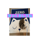 zero＆りん4（個別スタンプ：11）