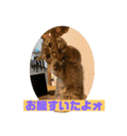 zero＆りん4（個別スタンプ：14）