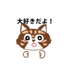 アライグマねこ（個別スタンプ：1）