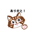 アライグマねこ（個別スタンプ：2）