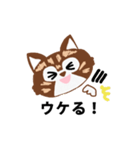 アライグマねこ（個別スタンプ：3）