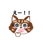 アライグマねこ（個別スタンプ：4）
