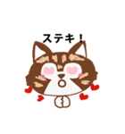 アライグマねこ（個別スタンプ：5）