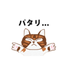アライグマねこ（個別スタンプ：6）
