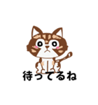 アライグマねこ（個別スタンプ：8）