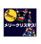 チワワ・犬好きなあなたへ 冬編 年賀等（個別スタンプ：23）