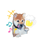 ごんちゃん（芝犬）（個別スタンプ：24）