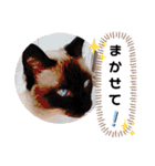 こつぶの日常スタンプ（個別スタンプ：14）